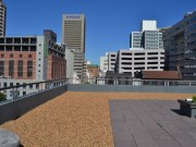 IC|IC Rooftop